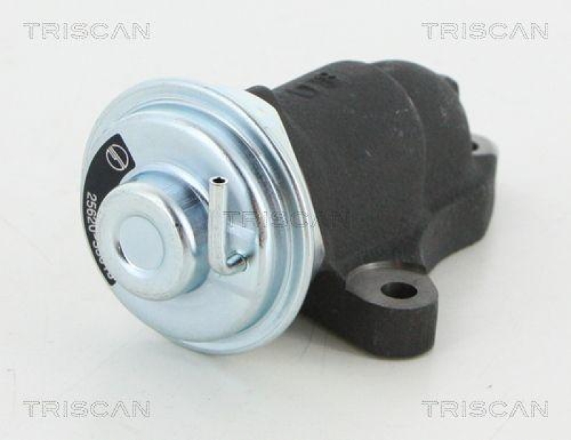 TRISCAN 8813 13064 Agr Ventil für Toyota