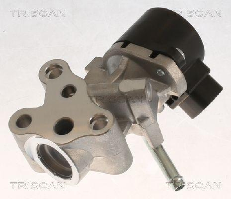 TRISCAN 8813 13069 Agr Ventil für Toyota, Psa