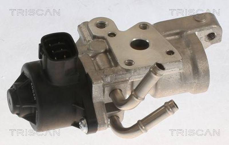 TRISCAN 8813 13070 Agr Ventil für Toyota, Psa