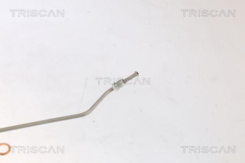 TRISCAN 8150 292022 Bremsschlauch Hinten für Audi, Seat, Skoda, Vw