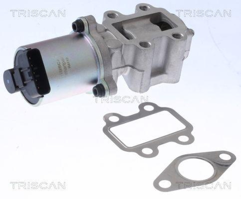 TRISCAN 8813 13100 Agr Ventil für Toyota