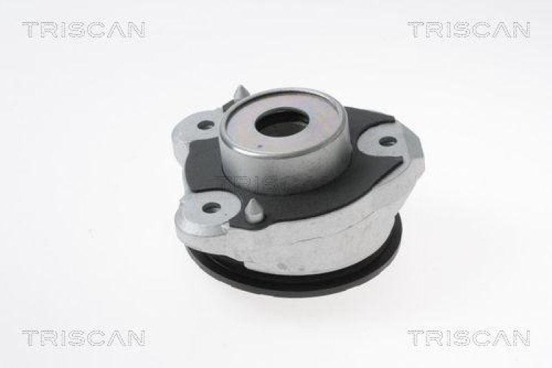 TRISCAN 8500 15917 Federbeinlagersatz für Fiat Ducato