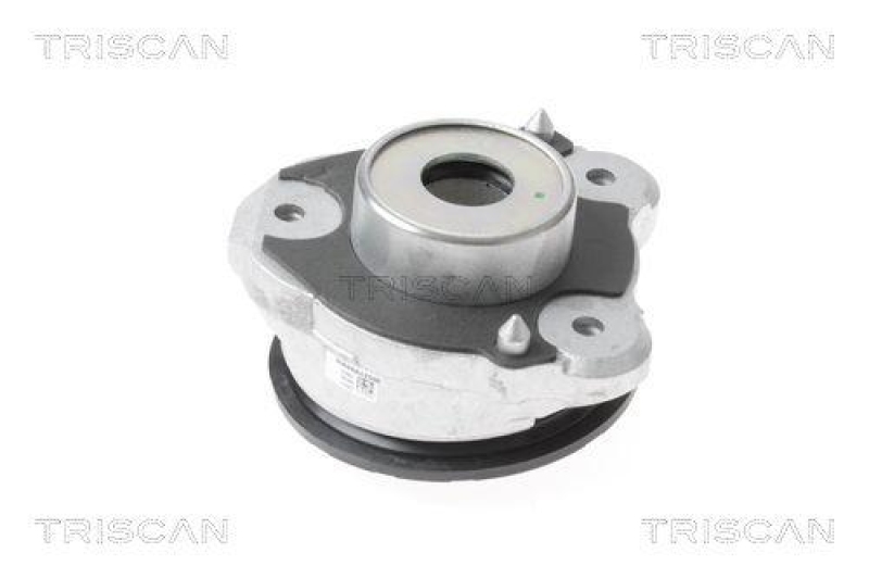 TRISCAN 8500 15918 Federbeinlagersatz für Fiat Ducato