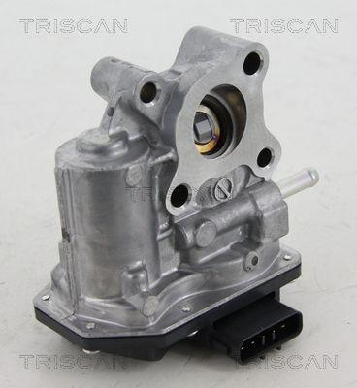 TRISCAN 8813 13200 Agr Ventil für Toyota