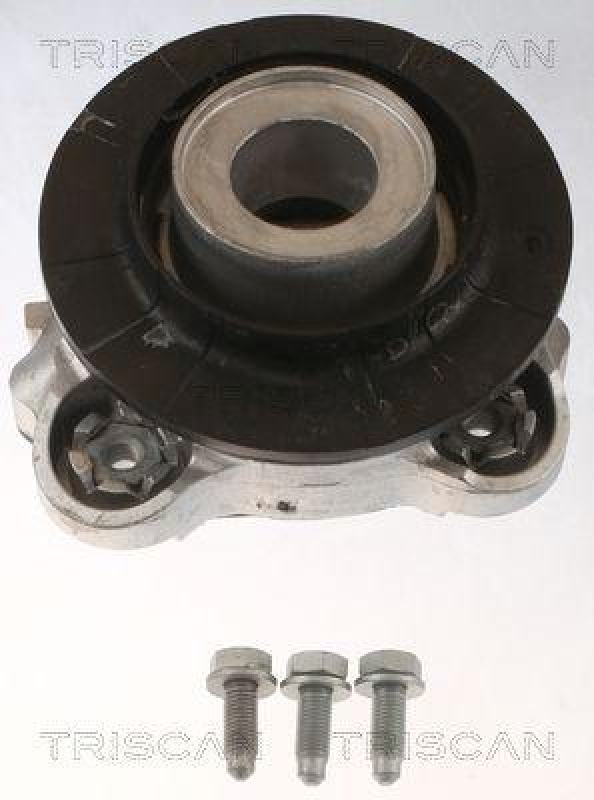 TRISCAN 8500 15919 Federbeinlagersatz für Fiat Ducato