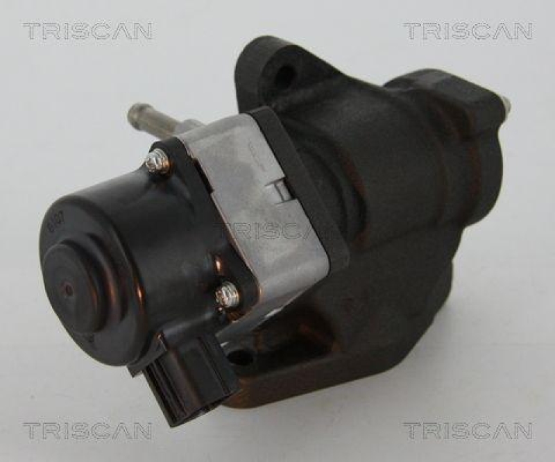 TRISCAN 8813 14005 Agr Ventil f&uuml;r Nissan/Renault/Opel