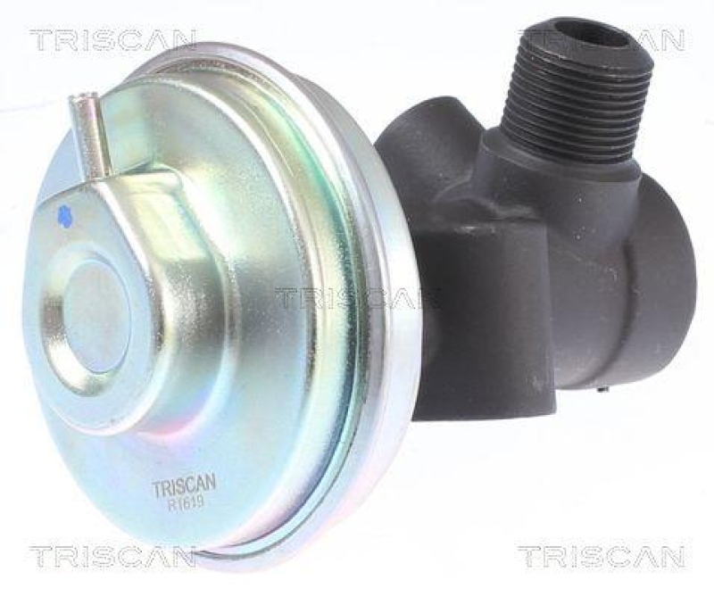 TRISCAN 8813 14008 Agr Ventil für Nissan