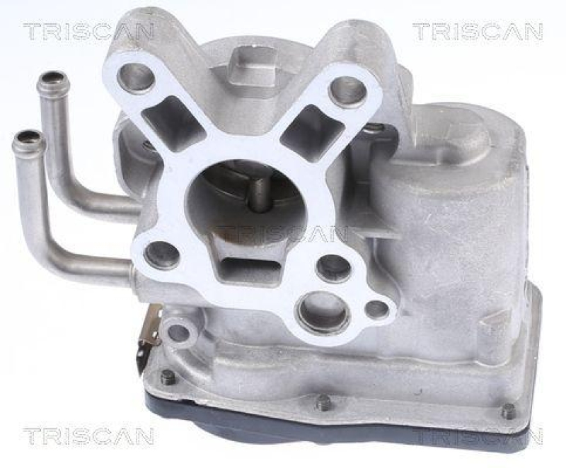 TRISCAN 8813 14010 Agr Ventil für Nissan