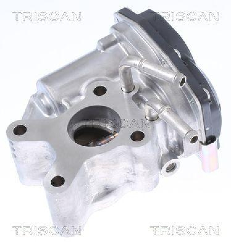 TRISCAN 8813 14015 Agr Ventil für Nissan