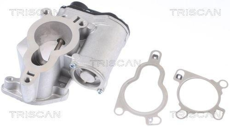 TRISCAN 8813 14025 Agr Ventil für Nissan