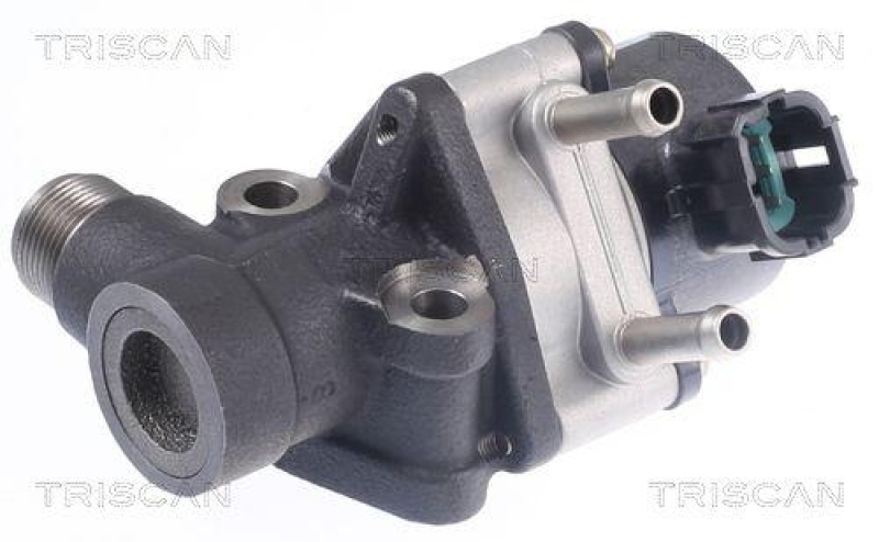 TRISCAN 8813 14026 Agr Ventil für Nissan Almera