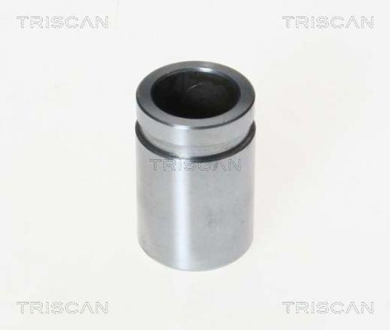 TRISCAN 8170 233030 Kolben für Hyundai I20