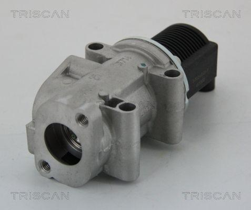 TRISCAN 8813 15032 Agr Ventil für Fiat/Psa