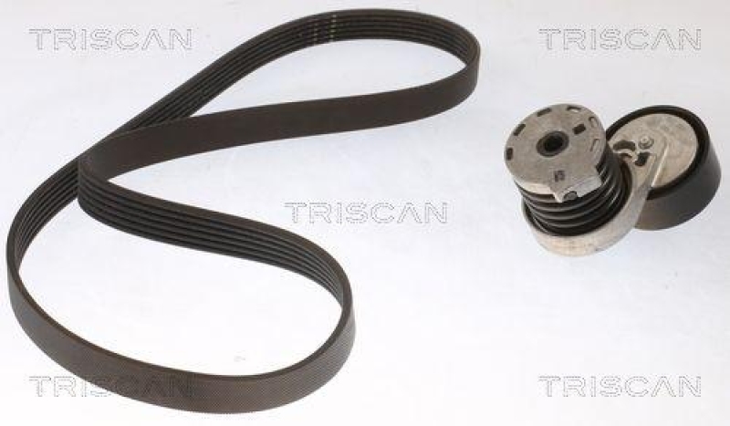 TRISCAN 8642 10019 Keilrippenriemensatz für Nissan, Renault