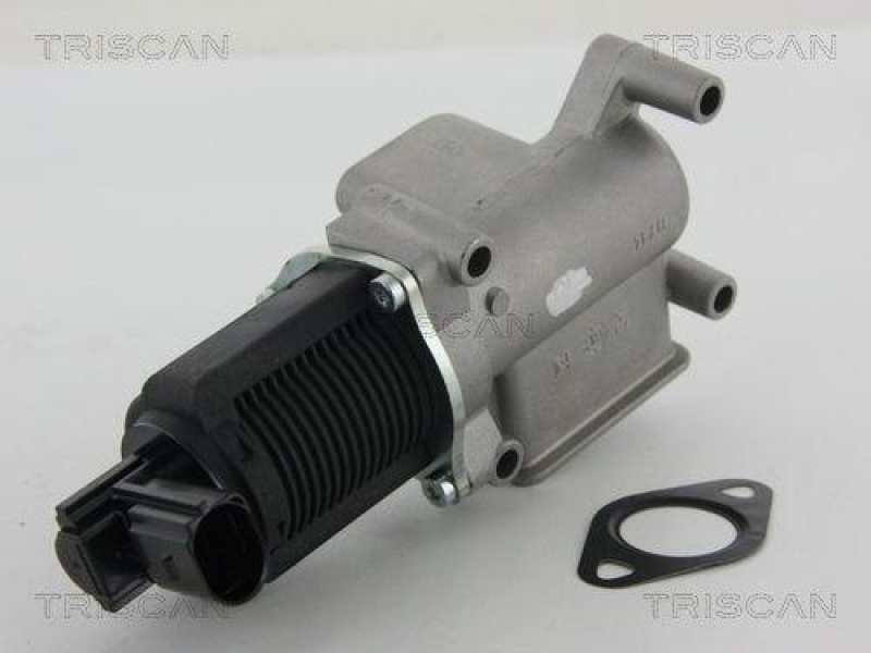 TRISCAN 8813 15063 Agr Ventil für Fiat/Psa