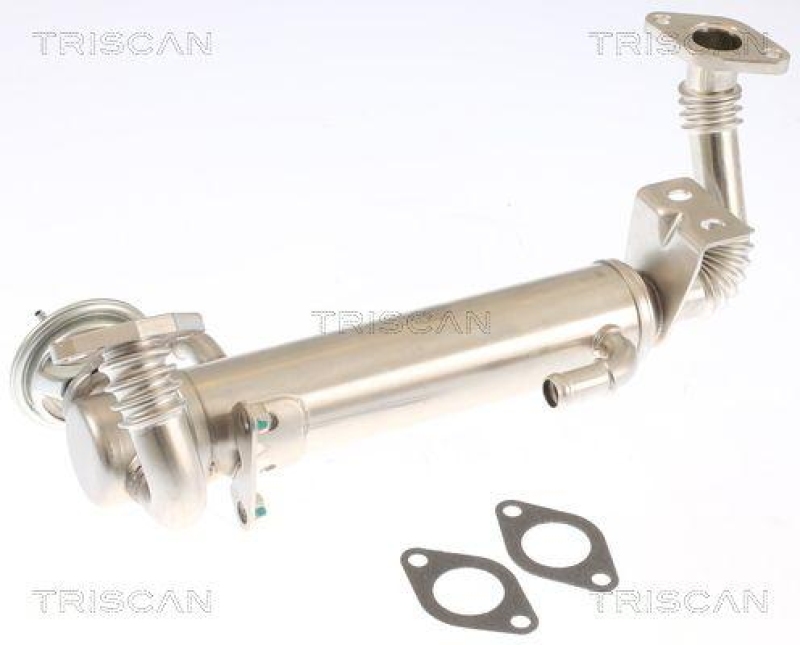 TRISCAN 8813 15074 Agr Ventil für Fiat, Iveco