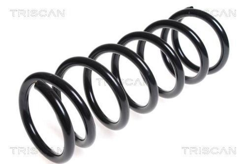 TRISCAN 8750 14103 Spiralfeder Hinten für Nissan Pathfinder, R51