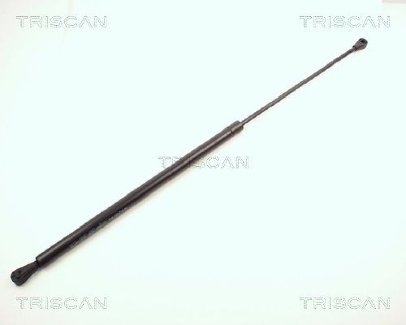 TRISCAN 8710 2504 Gasfeder Hinten für Renault R5