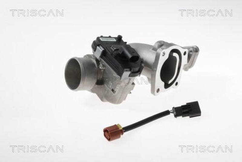 TRISCAN 8813 15100 Agr Ventil für Fiat/Iveco