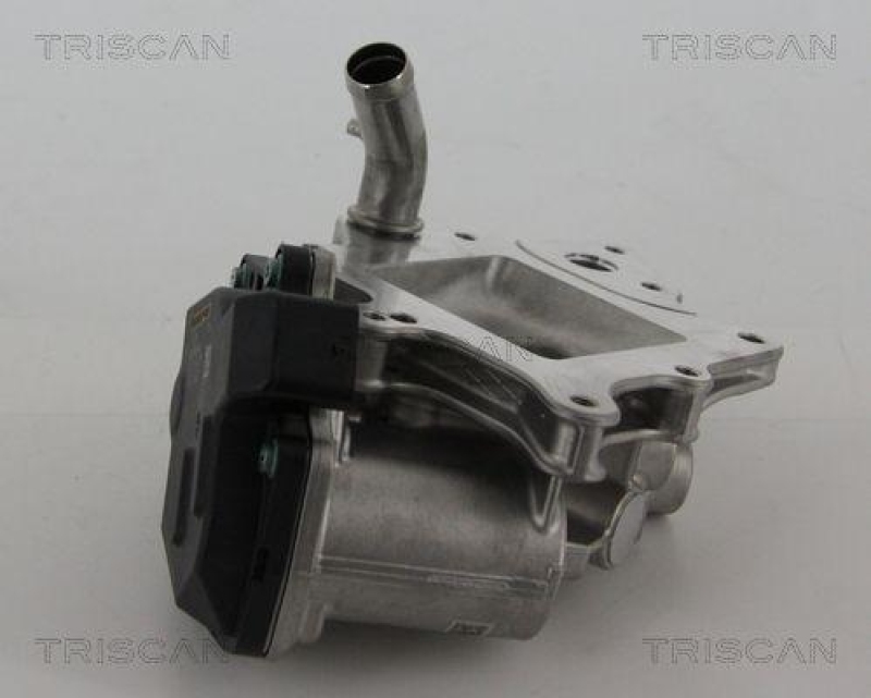 TRISCAN 8813 15205 Agr Ventil für Fiat