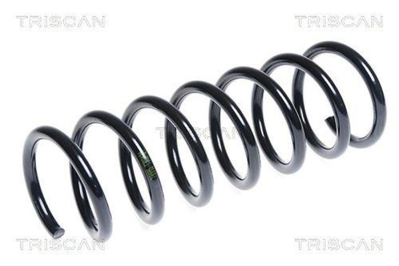 TRISCAN 8750 16111 Spiralfeder Hinten für Focus 2,5 St