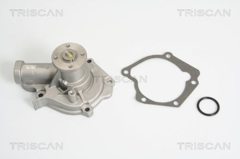 TRISCAN 8600 43006 Wasserpumpe für Hyundai