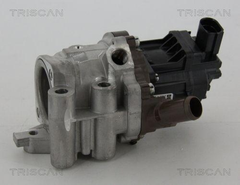 TRISCAN 8813 15207 Agr Ventil für Fiat