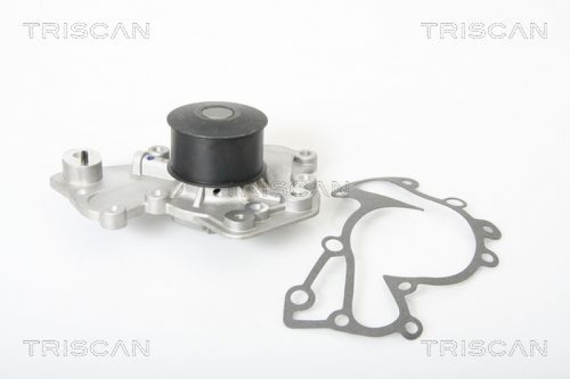 TRISCAN 8600 43007 Wasserpumpe für Hyundai