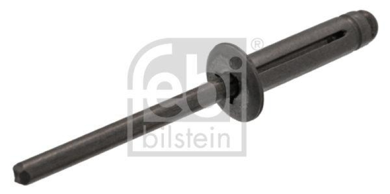 FEBI BILSTEIN 100639 Blindniet für Ford