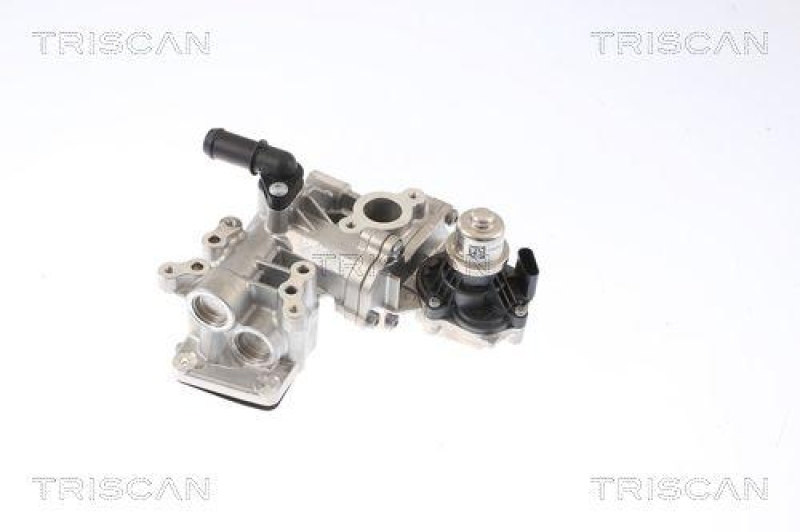 TRISCAN 8813 16005 Agr Ventil