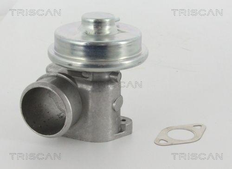 TRISCAN 8813 16010 Agr Ventil für Ford/Volvo/Mazda