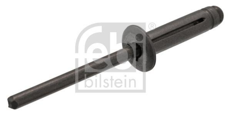 FEBI BILSTEIN 100643 Blindniet für Ford