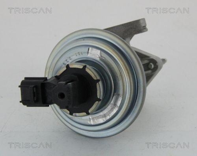 TRISCAN 8813 16045 Agr Ventil für Ford/Volvo/Mazda