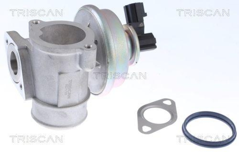 TRISCAN 8813 16054 Agr Ventil für Ford/Volvo/Mazda