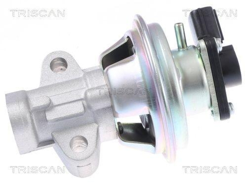 TRISCAN 8813 16069 Agr Ventil für Ford/Landrover