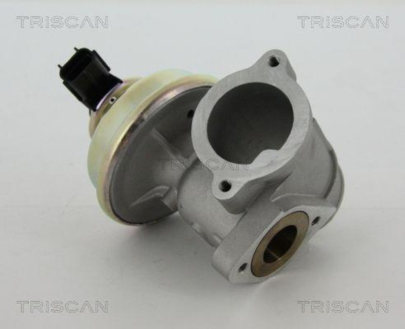 TRISCAN 8813 16102 Agr Ventil für Ford