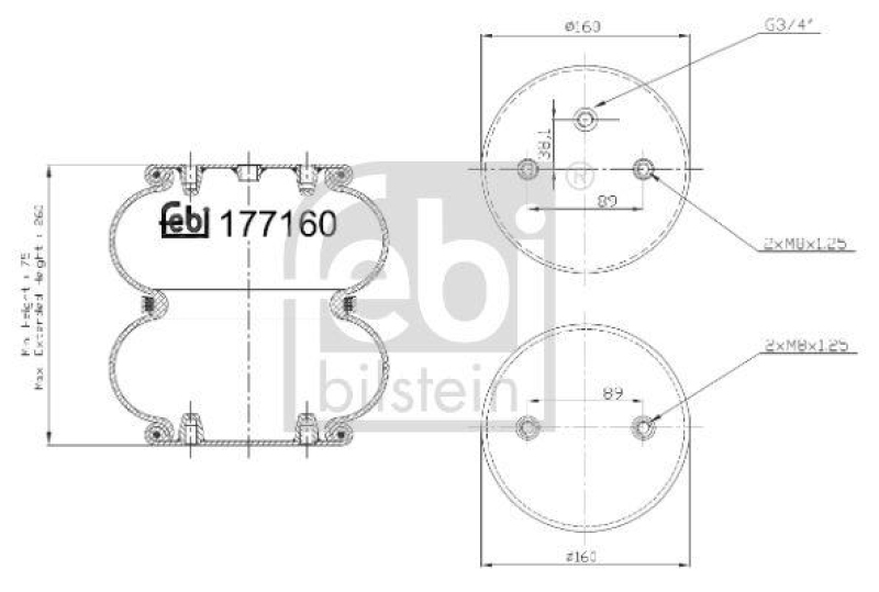 FEBI BILSTEIN 177160 Luftfederbalg für Gigant