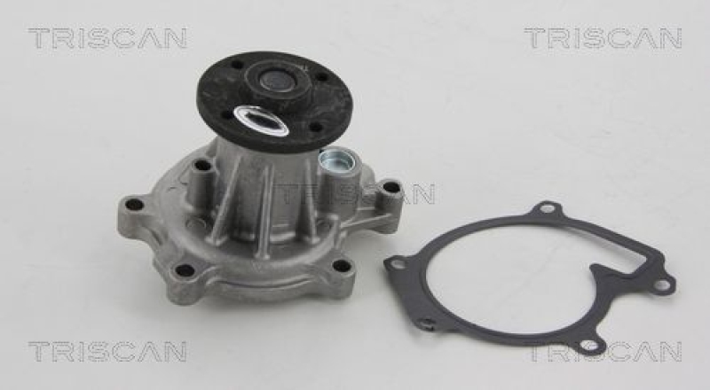 TRISCAN 8600 41010 Wasserpumpe für Daihatsu