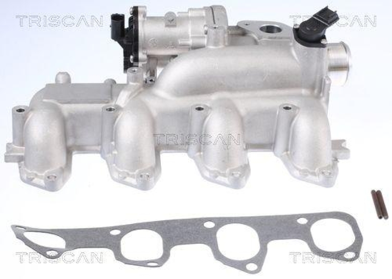 TRISCAN 8813 16155 Agr Ventil für Ford