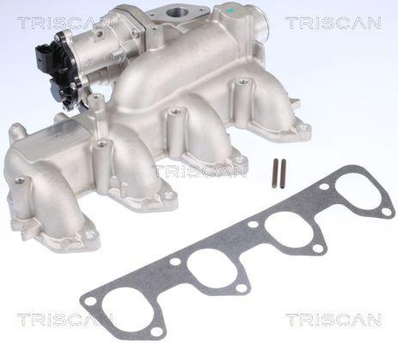 TRISCAN 8813 16160 Agr Ventil für Ford