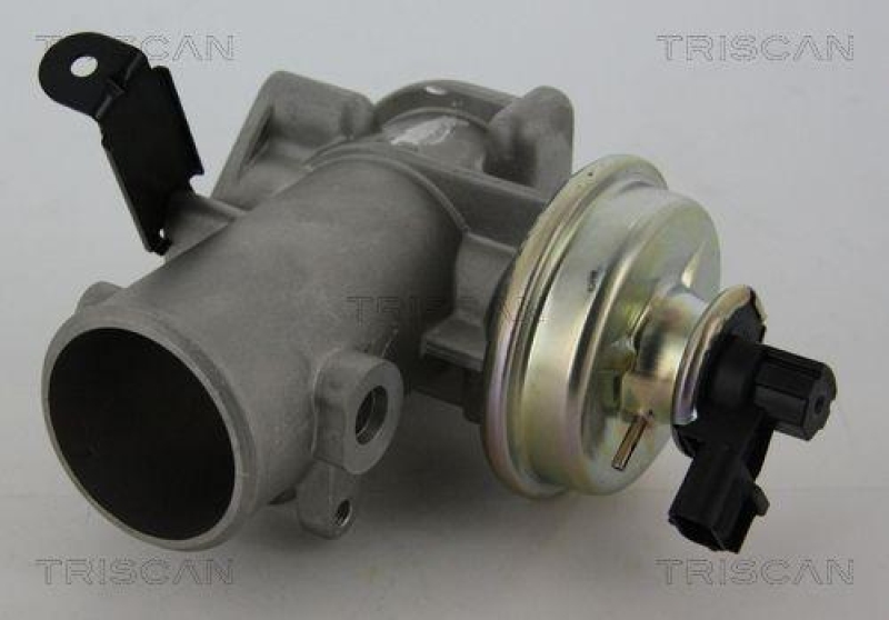 TRISCAN 8813 16200 Agr Ventil für Ford