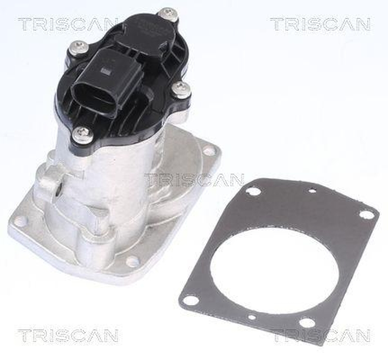 TRISCAN 8813 16201 Agr Ventil für Ford