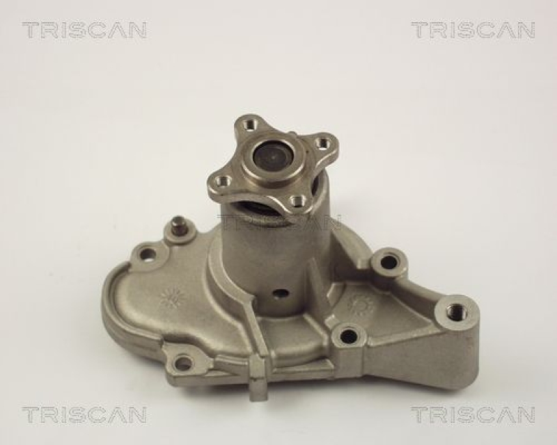 TRISCAN 8600 43002 Wasserpumpe für Hyundai