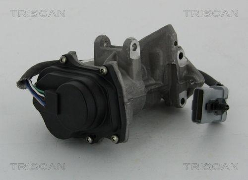 TRISCAN 8813 17019 Agr Ventil für Ford/Landrover