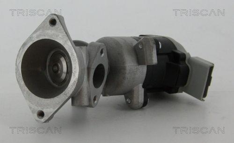 TRISCAN 8813 17020 Agr Ventil für Ford/Landrover