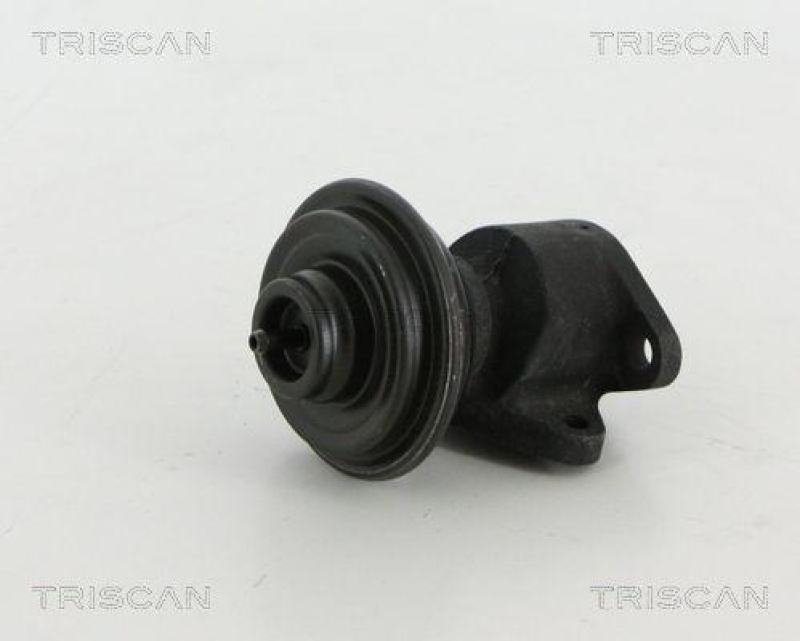 TRISCAN 8813 18035 Agr Ventil für Hyundai/Kia