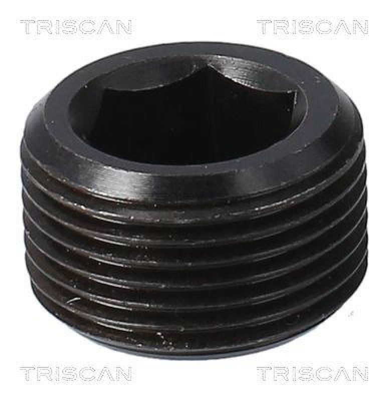 TRISCAN 9500 1015 Ölablassschraube für M22X1.5