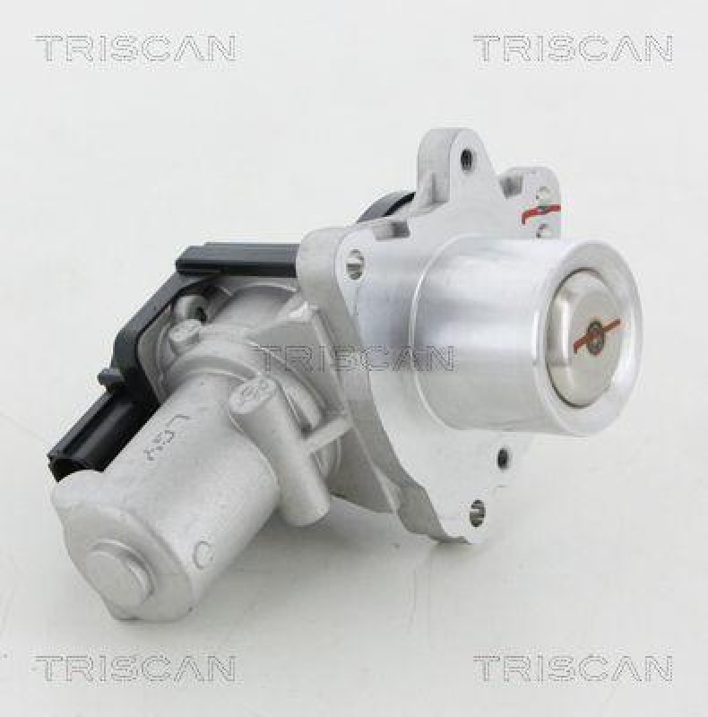 TRISCAN 8813 18045 Agr Ventil für Hyundai, Kia