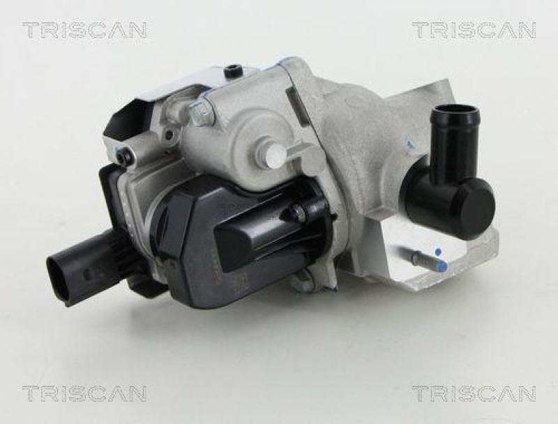 TRISCAN 8813 18046 Agr Ventil für Hyundai, Kia