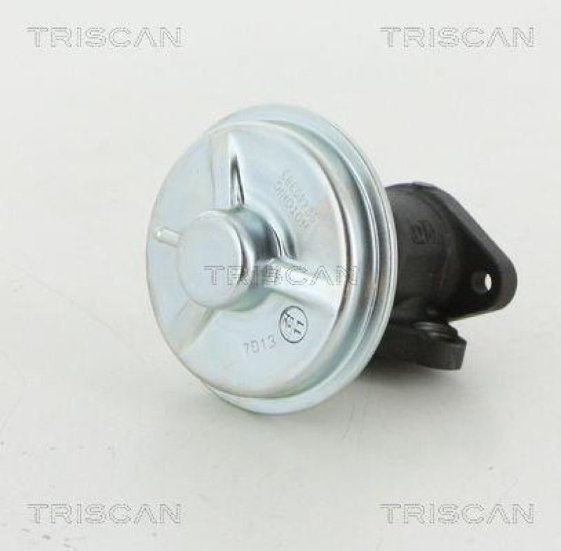 TRISCAN 8813 21002 Agr Ventil für Chevrolet(Gm)